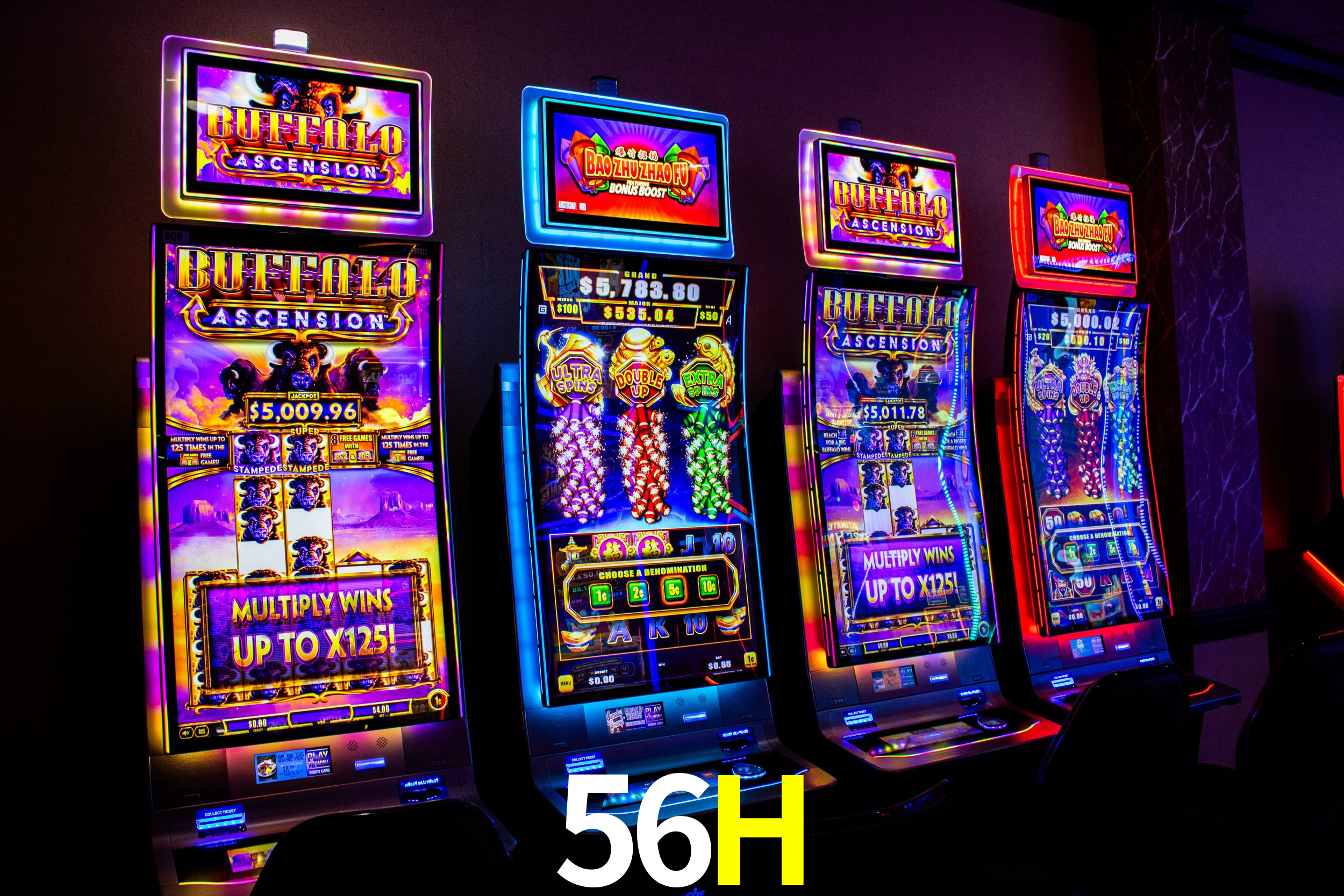 56H: A Experiência de Casino com Jogos de Mesa ao Vivo